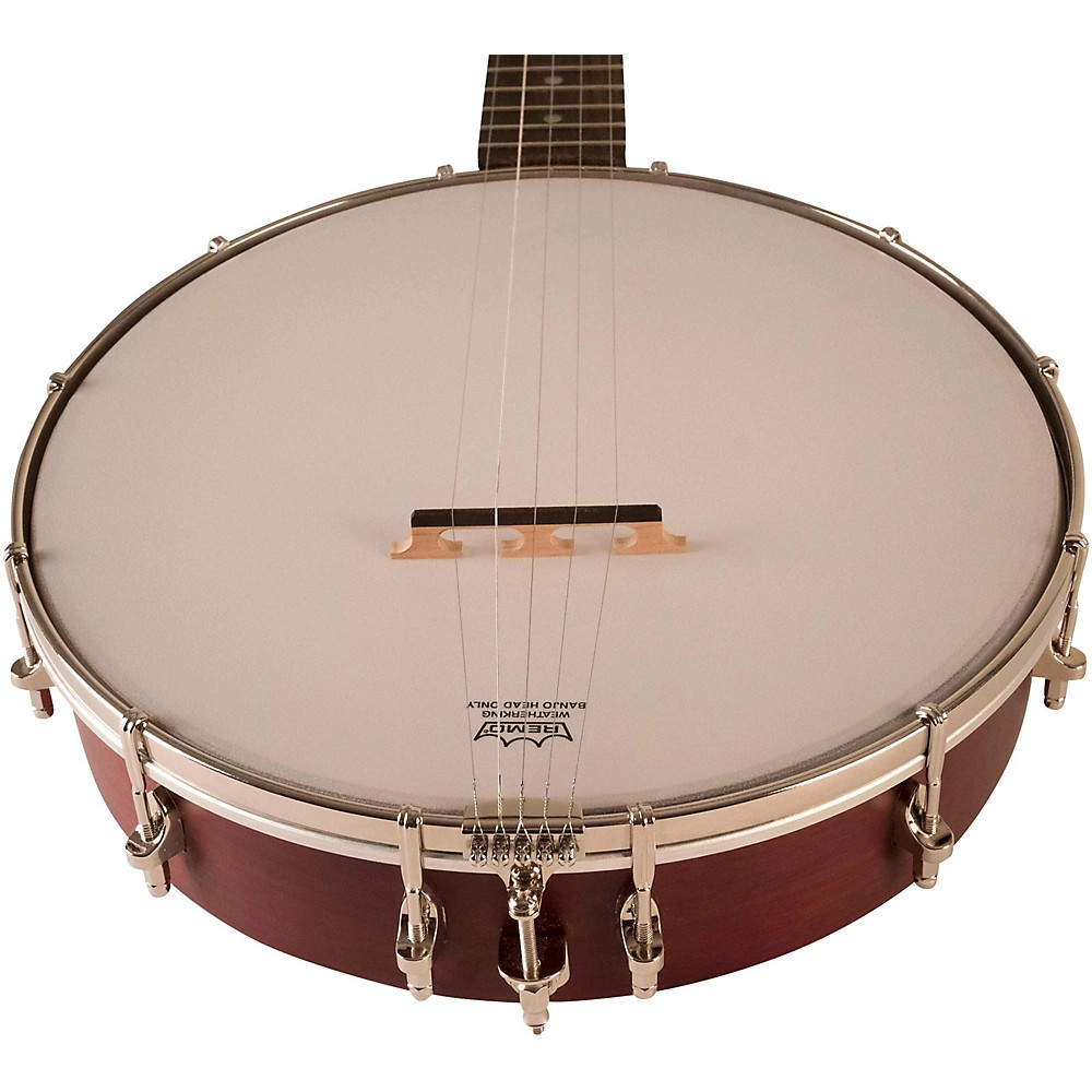 Recording King RKO-3S Open Back Banjo