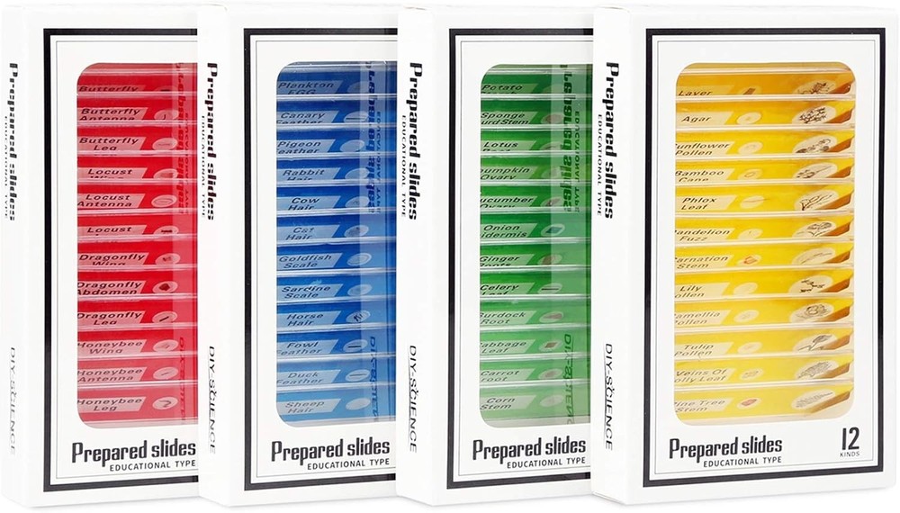 Clear Observation with 48 Biological Microscope Slides - Kid-Friendly Science