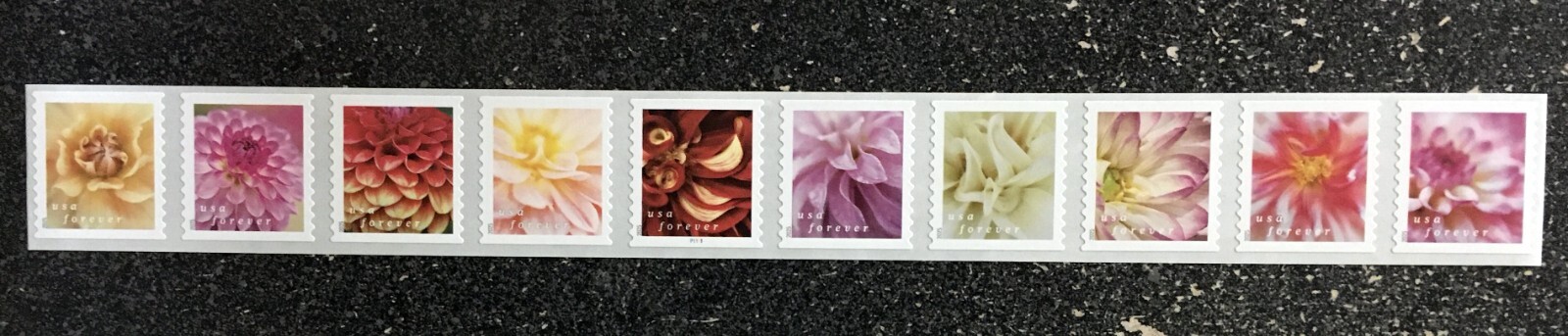 2025USA Forever Dahlias - Plate Number PNC Coil Strip 10 Mint