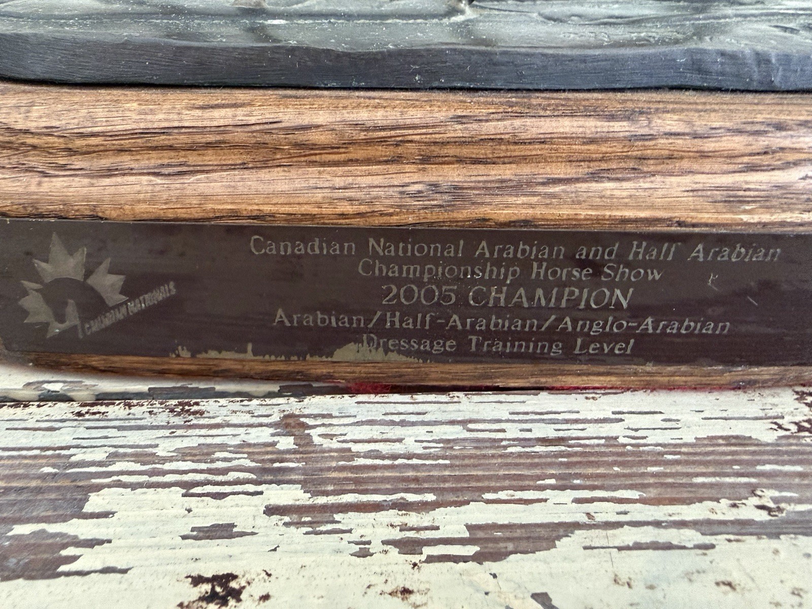 JILL McKINNEY 2005 Arabian Mare & Foal Bronze Horse Sculpture Dressage Trophy