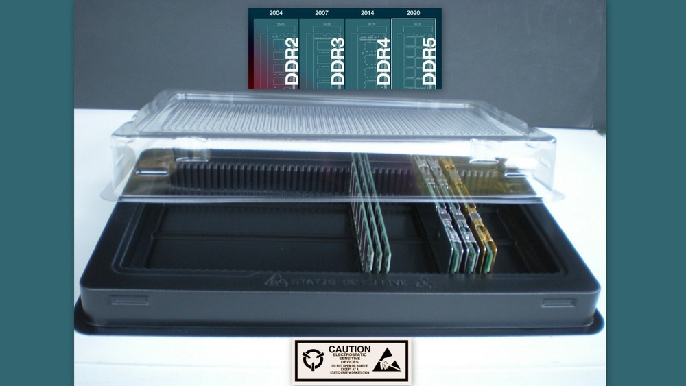 Long DIMM Memory Tray Holder Container for DRAM DDR PC Server Modules 2 Fits 100