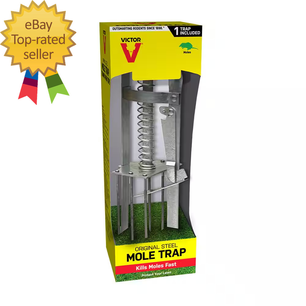 Plunger Style Mole Trap