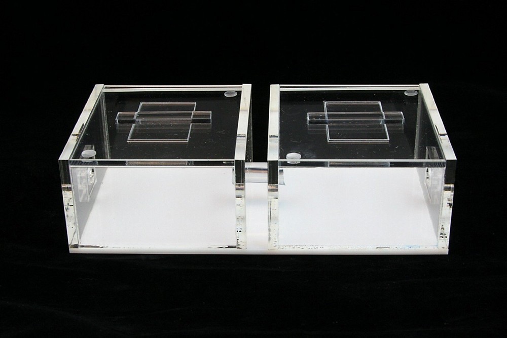Sand Ant Farm Mini (Anthill, Formicarium, Educational, Ants)