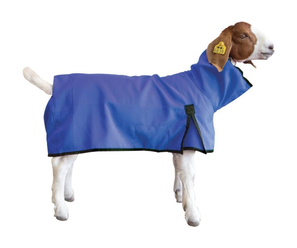 Goat Blanket, Medium, Blue