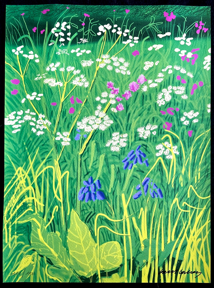 David Hockney Lithograph Handmade COA Signed Op Numbered Limited &