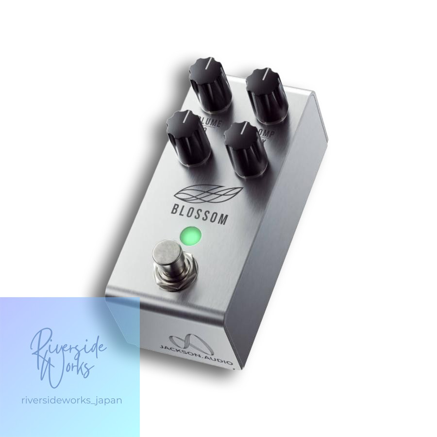 Jackson Audio BLOSSOM Compressor Guitar Effect Pedal
