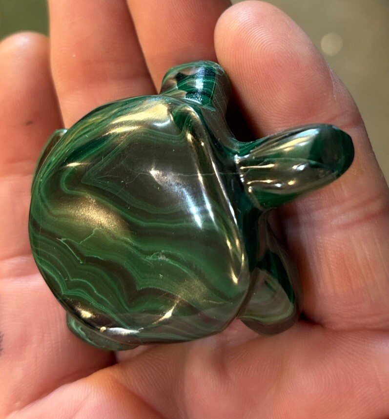 2” Malachite Turtle