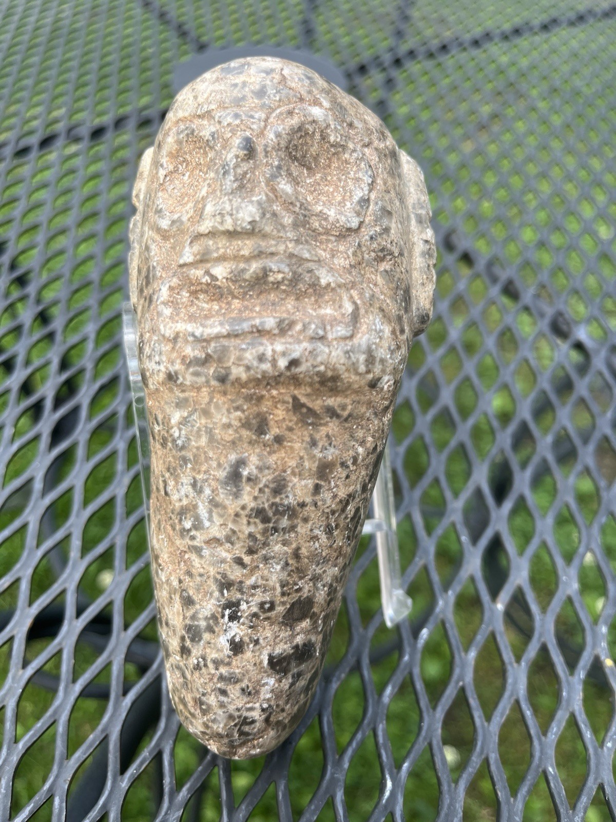 Big Taino Stone Tool Rare PreColumbian Ancient Artifact Arawak Caribe Mayan