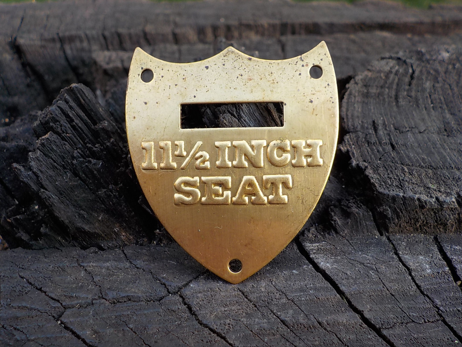 11 1/2 Inch Calvary Saddle Shield with Free Display Case for Display and Protect