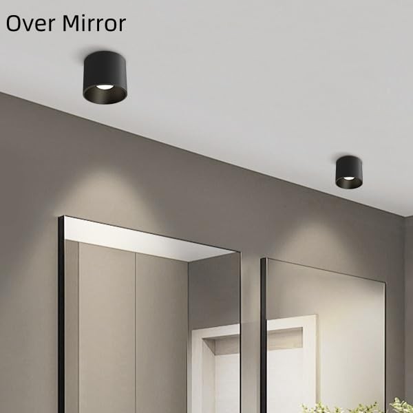 Modern Ceiling Spot Light Fixture, Dimmable Flush Mount Light 4.72'' Black