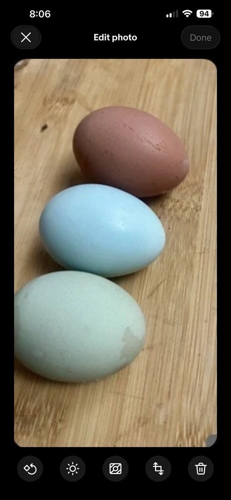 Real Easter Egg Colors!! 12 Eggs **rare Breed**