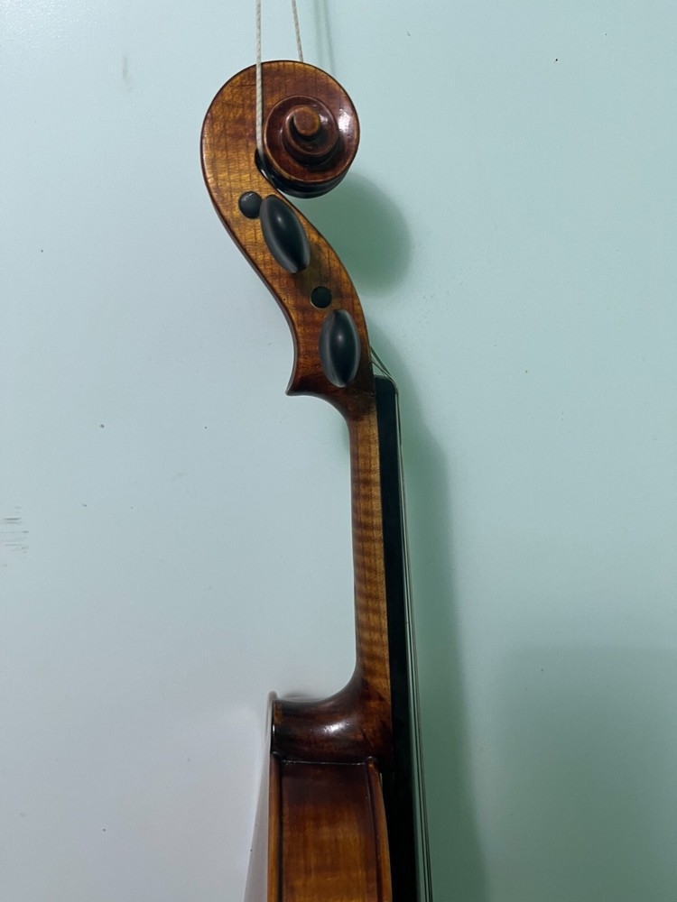 Violin 4/4 Stradivarius Model