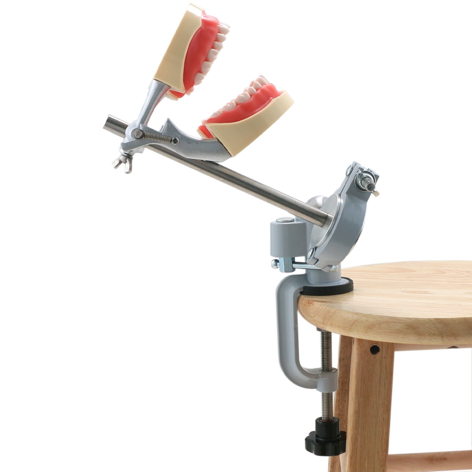 US Dental Typodont Mounting Pole For Columbia Kilgore Nissin Frasaco Teeth Model