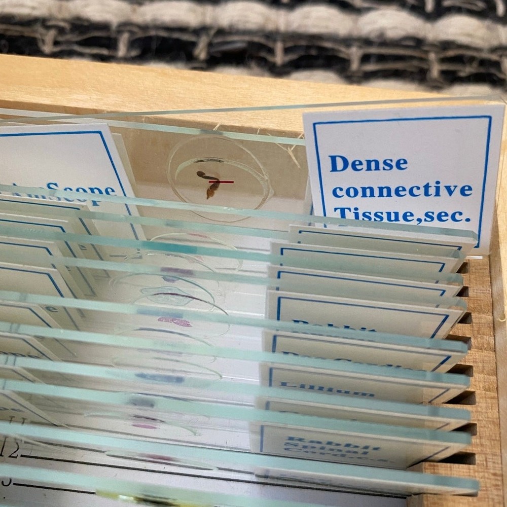 AmScope 25 Piece Set of Prepared Microscope Glass Slide Box