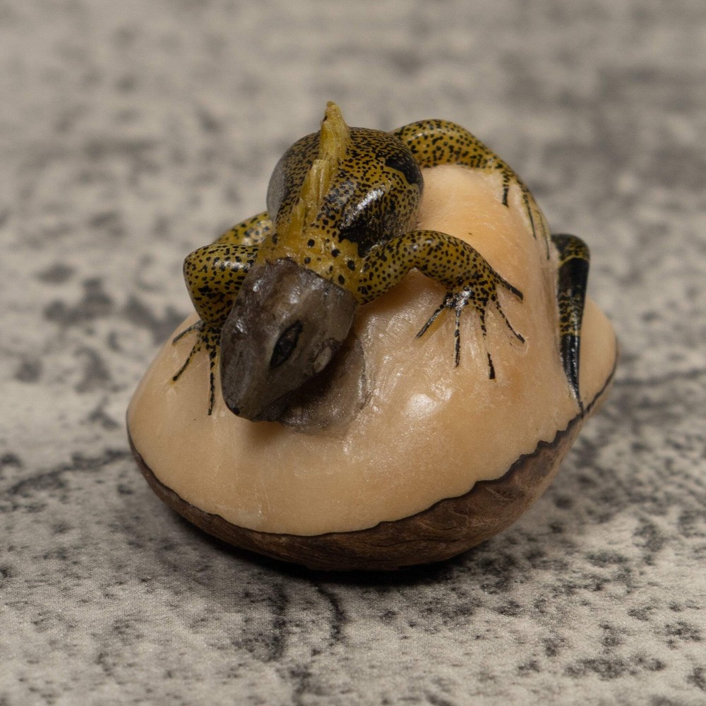 Iguana Lizard Reptile Tagua Carving