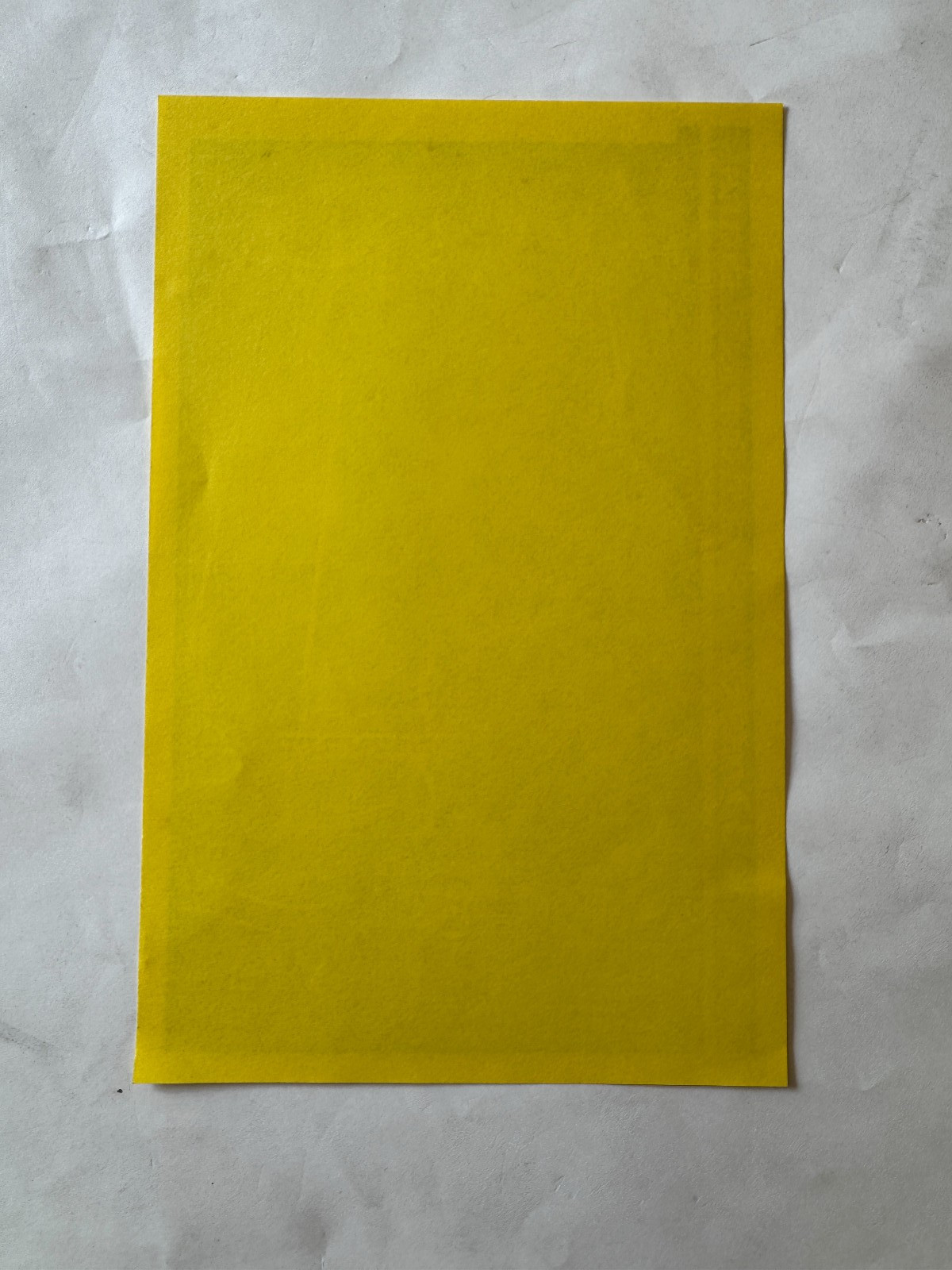 original 1998 MANA show flyer, Mahaffey Theater, St Petersburg FLORIDA 6x5