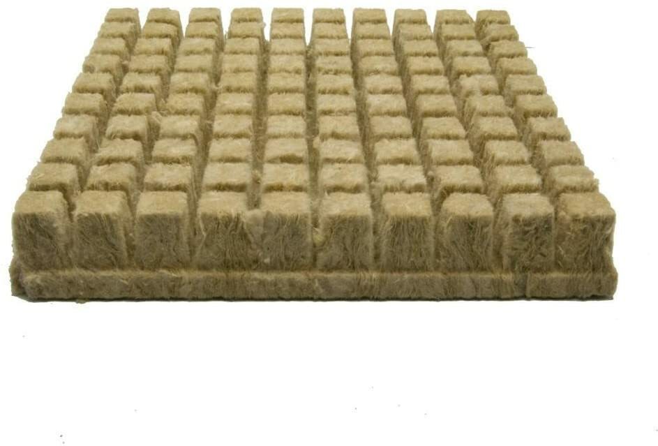 Hydroponics Deep Water Culture DWC Hydroponic System, 5 Gallon