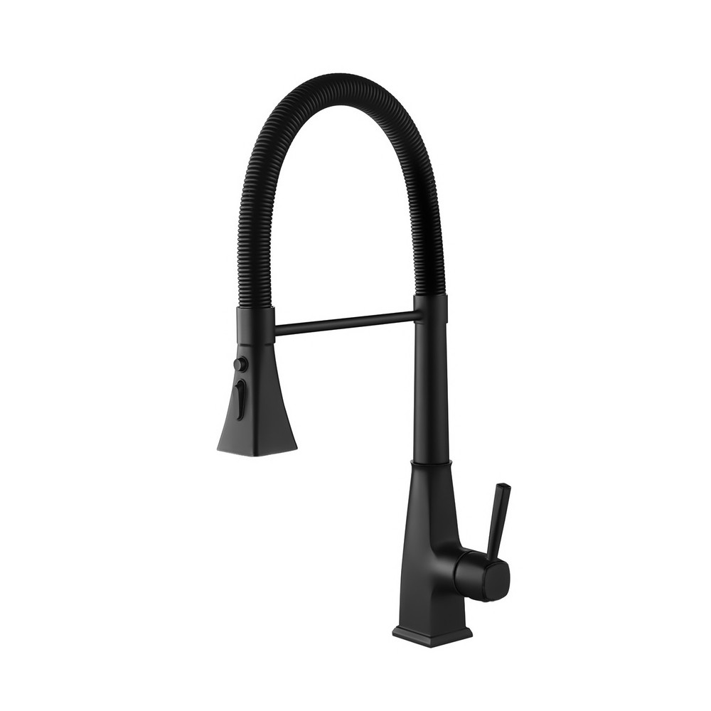Pull-Out Spray Kitchen Faucet, High-Arc Single Handle 360° Swivel