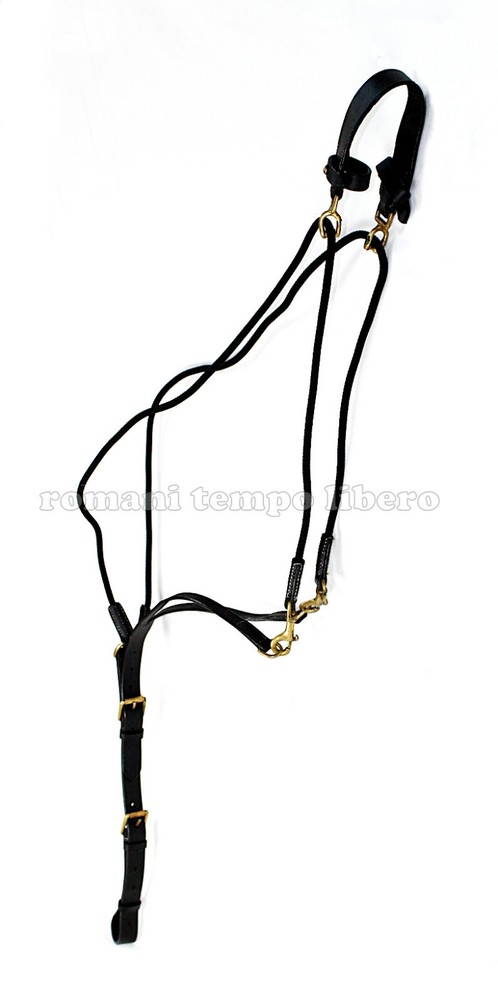 Gogue cuoio con fibbie in ottone