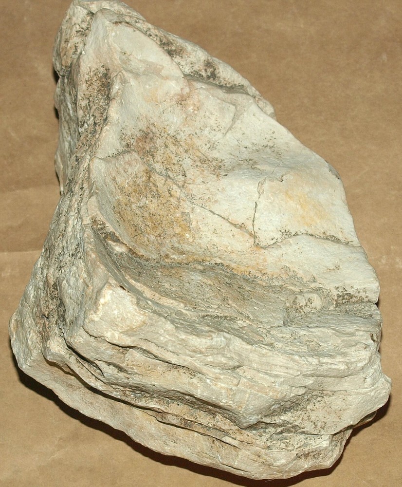 Silurian STROMATOLITE from Estonia