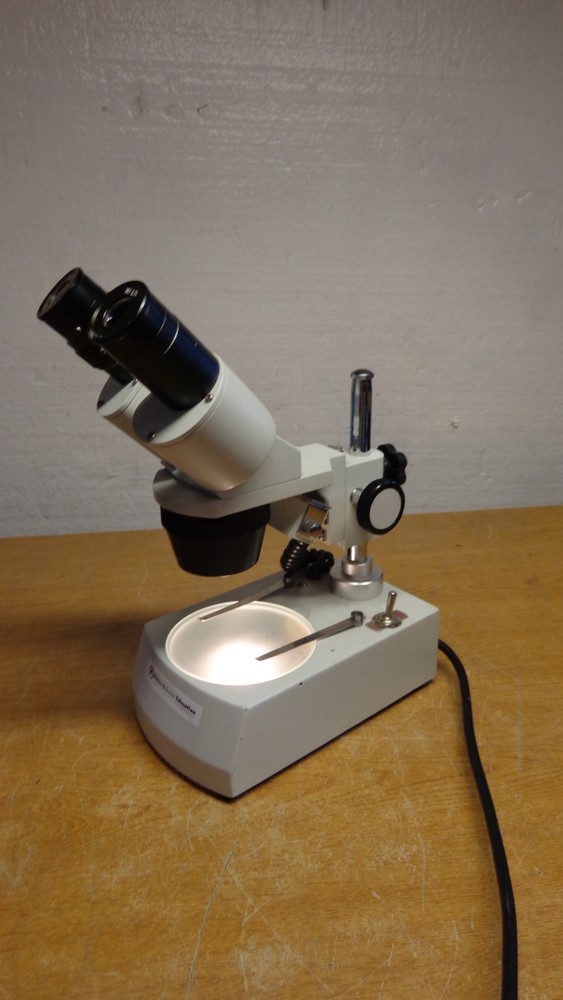 Fisher Science Education Microscope S90013A