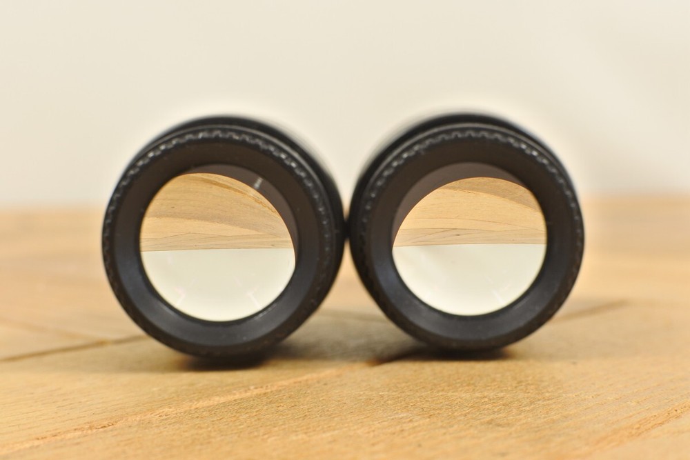 Nikon CFI 10X/22 Microscope Eyepiece Pair for Eclipse, E & I Series from Japan