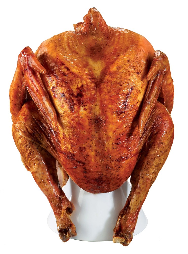 Primo Grills Ceramic Turkey Setter
