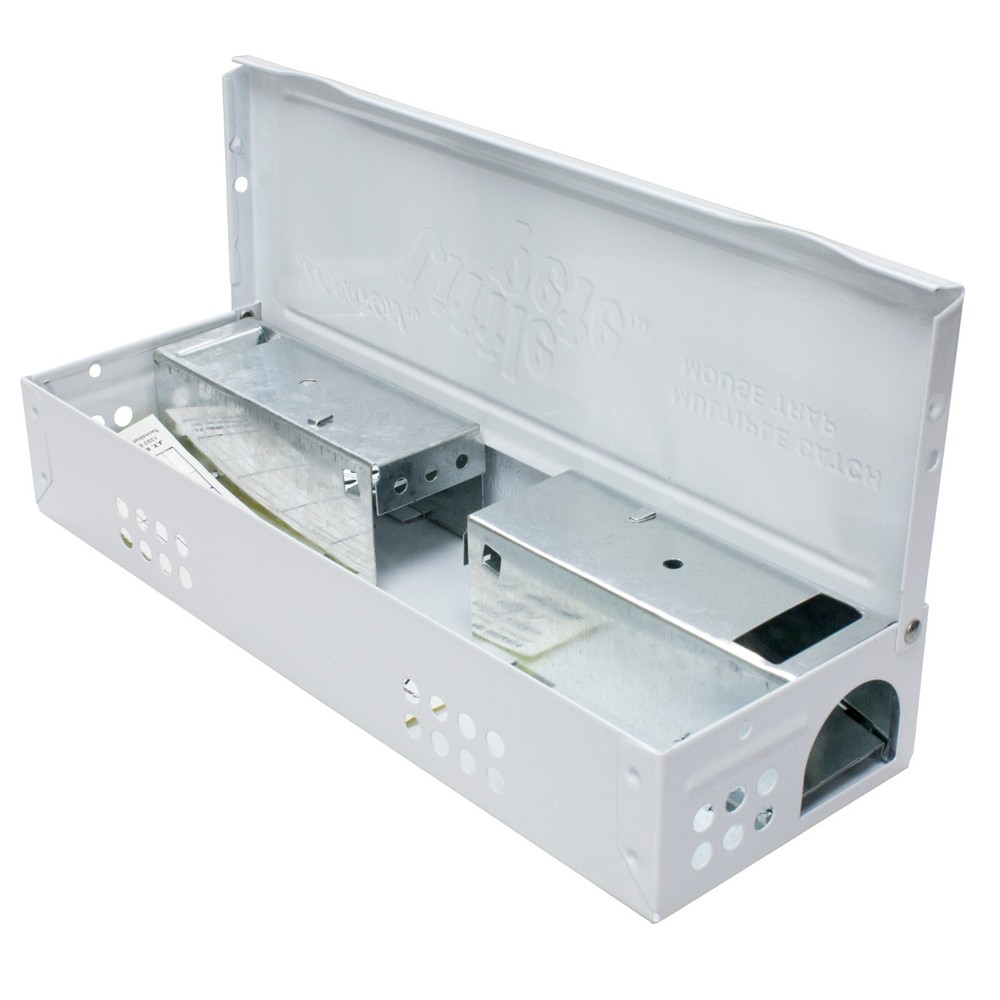 Live Catch - Multiple Catch Mouse Trap - Solid Lid White 423WH ( 1 trap )