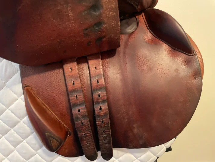 17" - 2017 Bruno Delgrange Partition, 4A Flap, Medium Tree