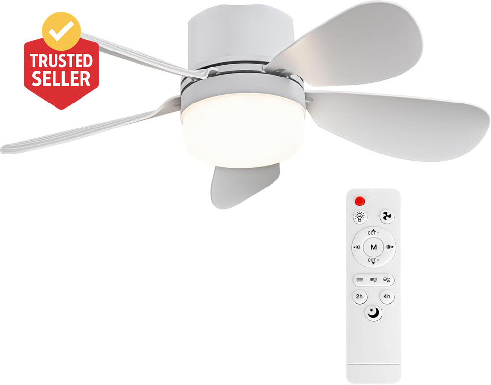 Socket Breeze Socket Fan Light with Remote Control, Portable Small Ceiling Fans