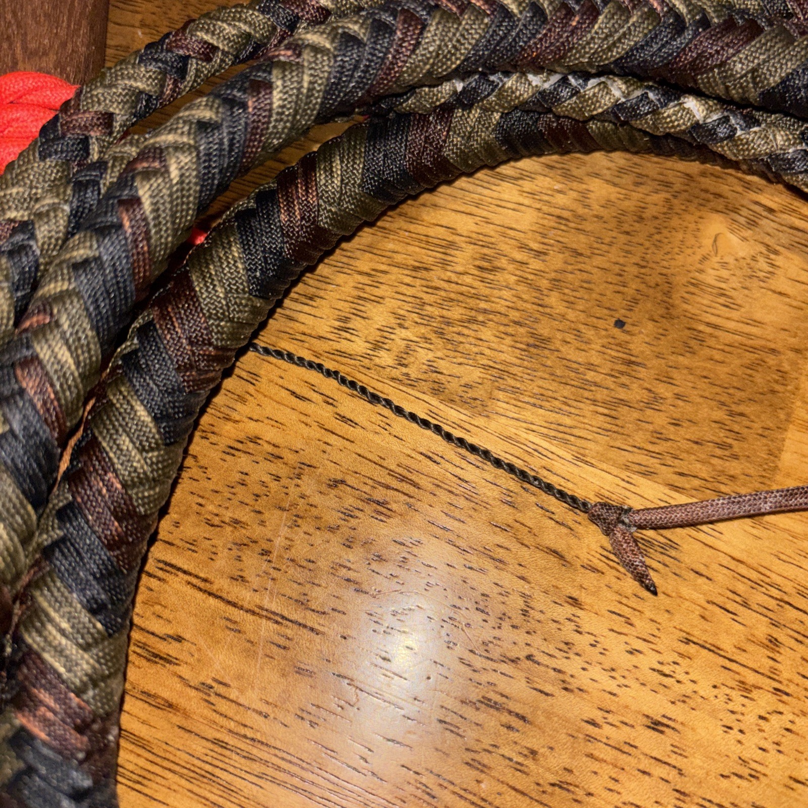 10 Foot Florida Cow Whip Bullwhip Cowwhip Bull