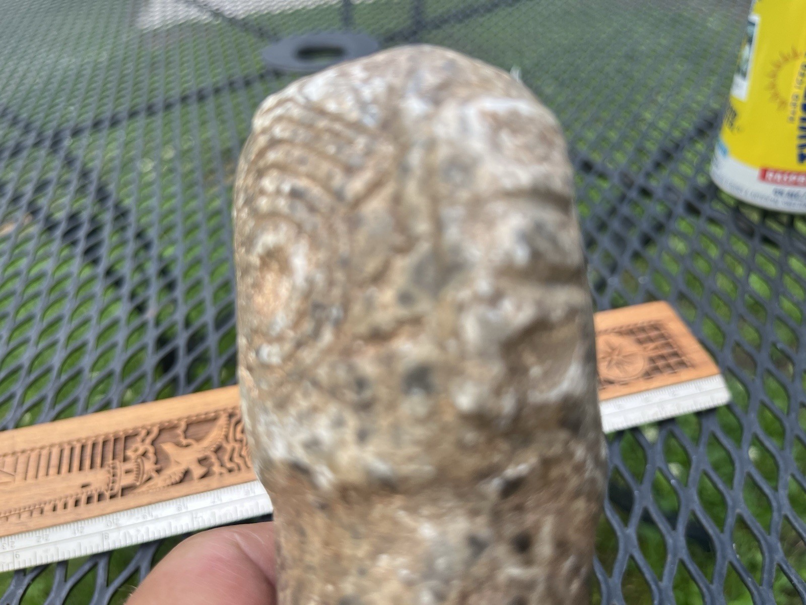 Big Taino Stone Tool Rare PreColumbian Ancient Artifact Arawak Caribe Mayan