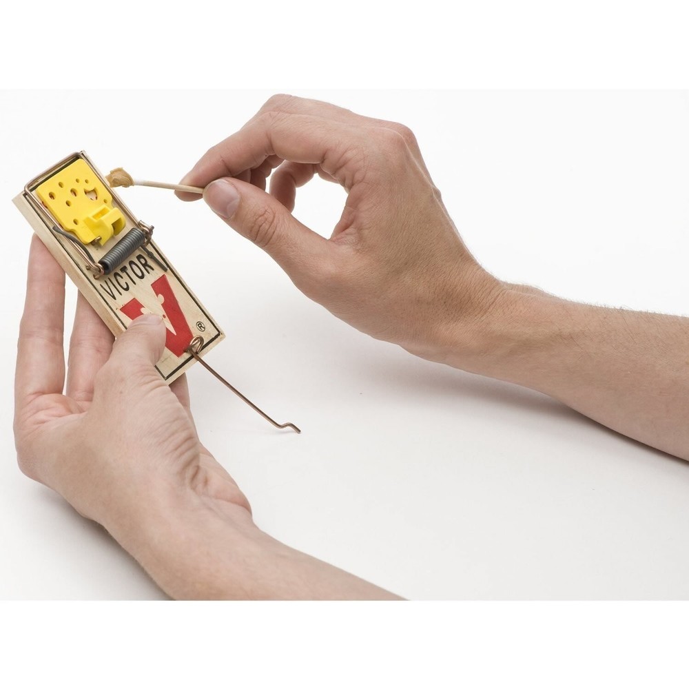 Easy Set Mouse Trap , - 4 Count