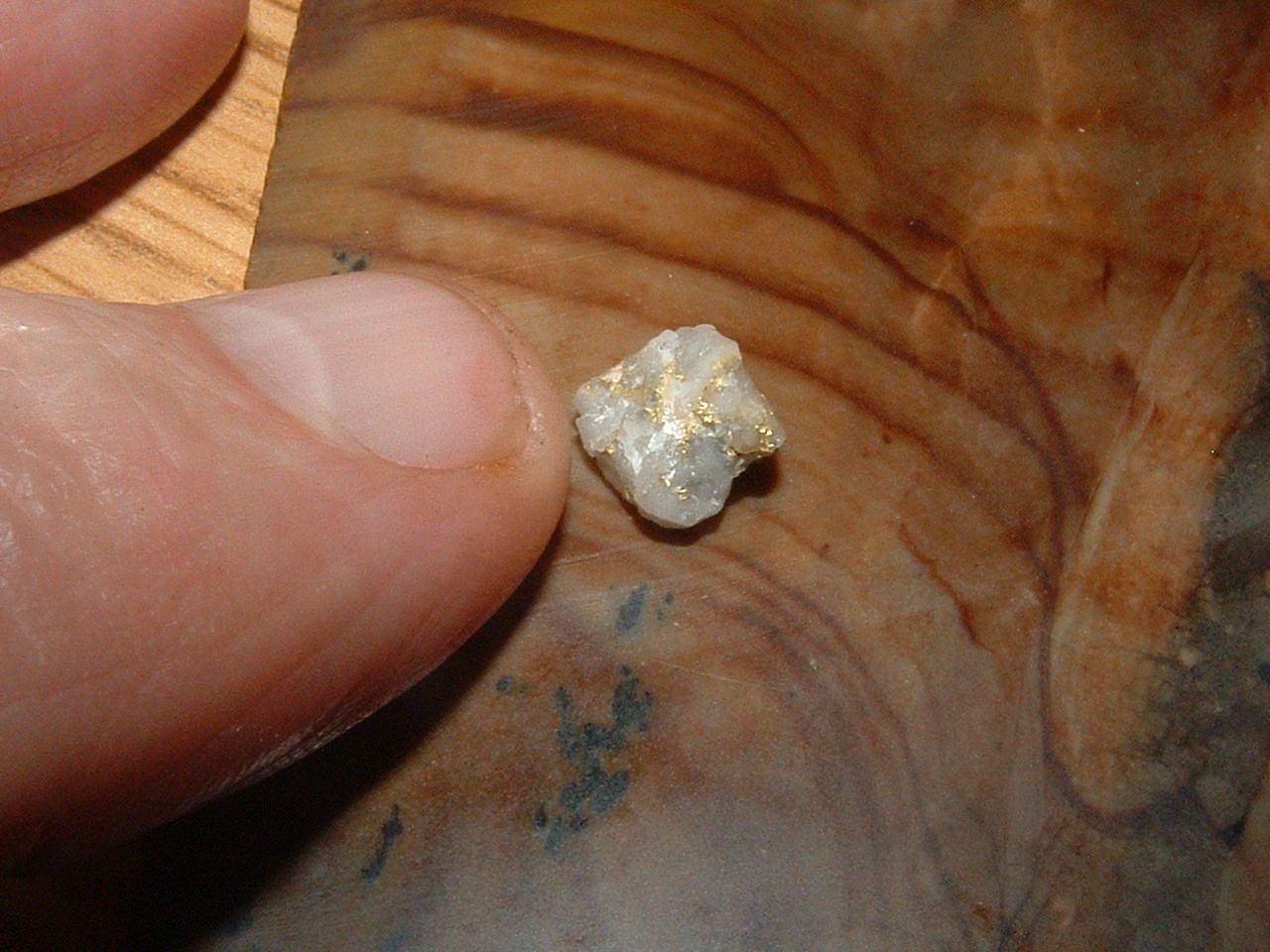 GOLD QUARTZ SPECIMEN .36 GRAM BLUE MTNS OREGON GOLD