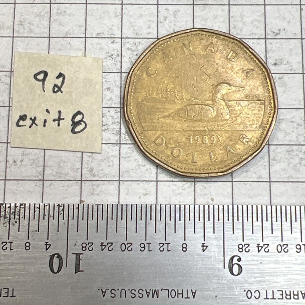 1989 Canadian Loonie - Circulated
