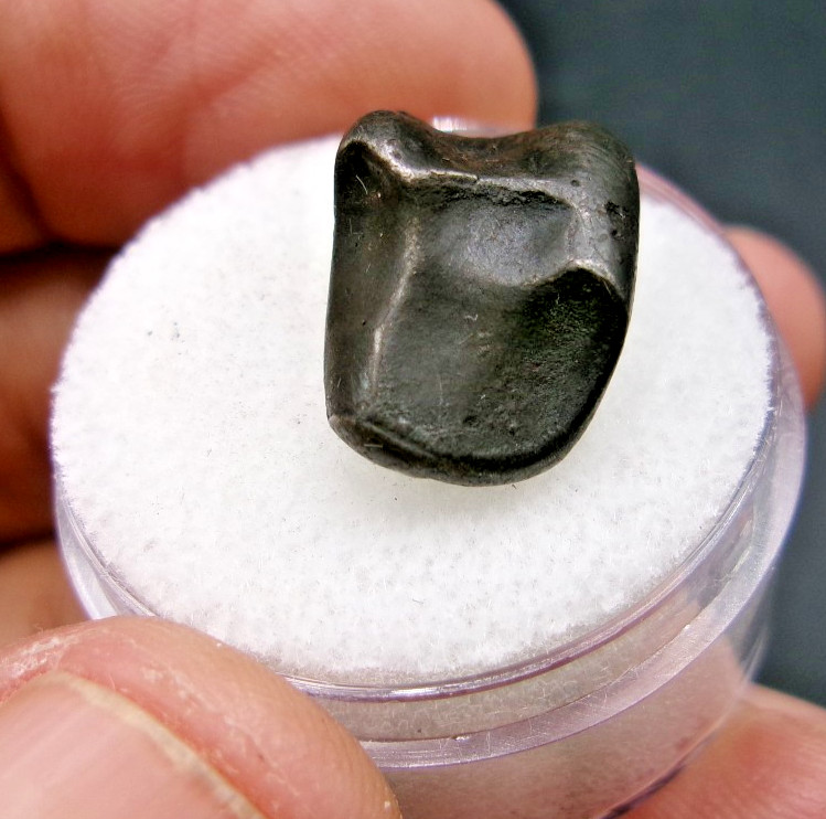 ORIENTED 7.21 gram - Sikhote Alin Meteorite Individual - 1947 fall in Russia