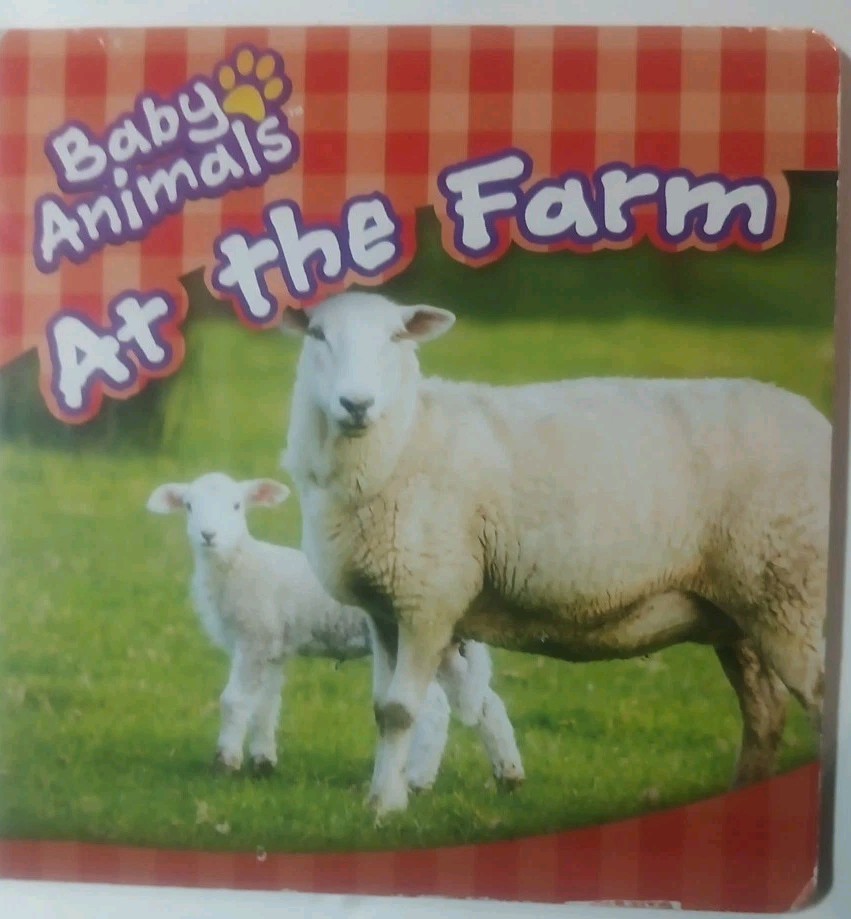 Childrens Books & Matching Toys