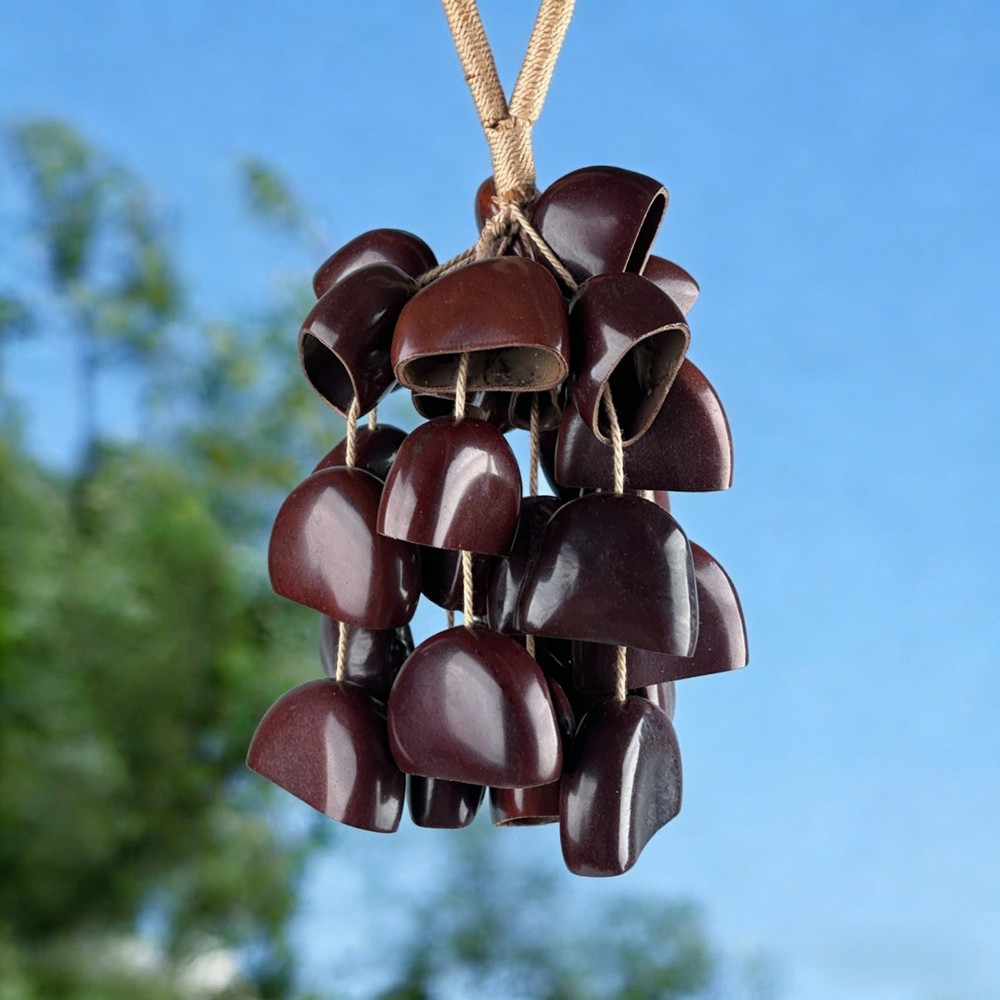 African Natural Shell Shaker Nutshell Seed Rattle Hand Percussion Instruments
