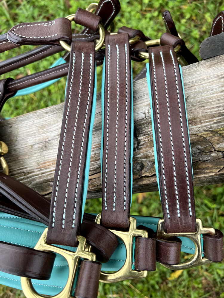Leaders 1" Leather Halter with Turquoise Padding and Solid Brass Hardware