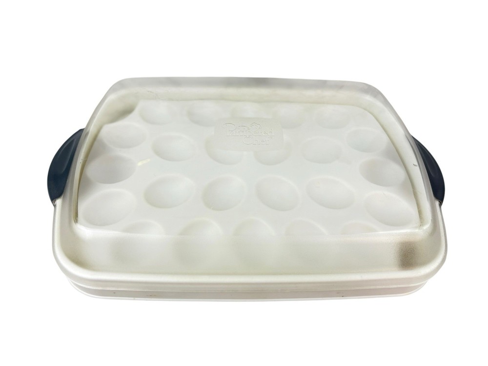 Pampered Chef #2781 Chillzanne Rectangle Server Tray Deviled Egg Veggies Fruit