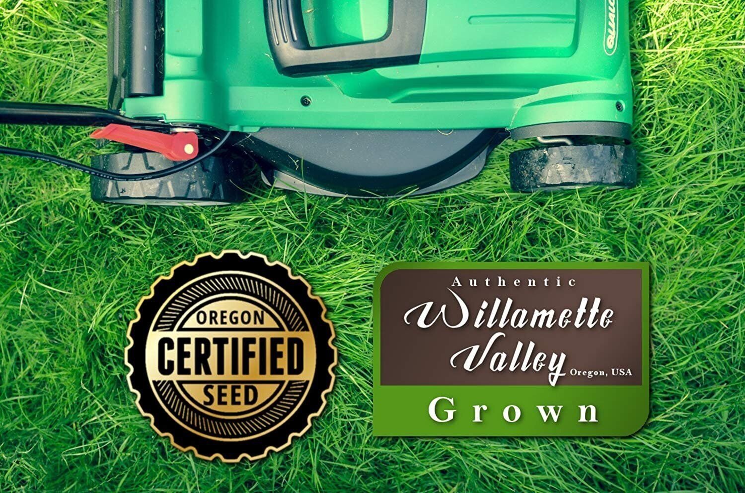 Kentucky 31 K31 Tall Fescue Grass Seed by Eretz - State Certified, CHOOSE SIZE!