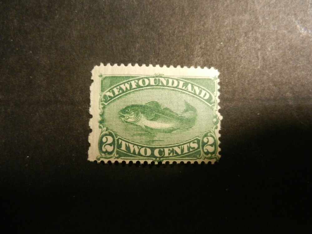 #47 *NEWFOUNDLAND*.  MNH, F, OG.