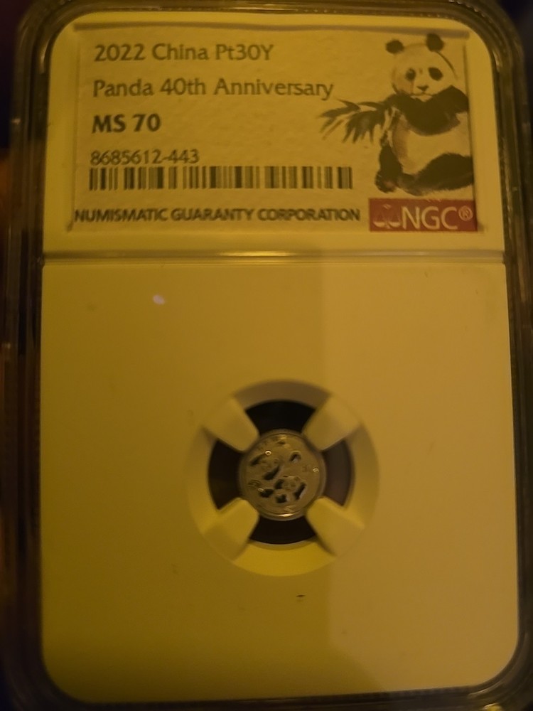 2022 40th Anniversary Platinum Panda In Ms 70