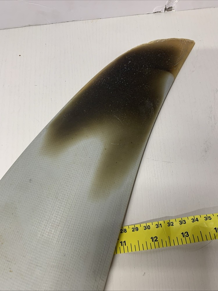 Sailboard Fin 16” Rainbow
