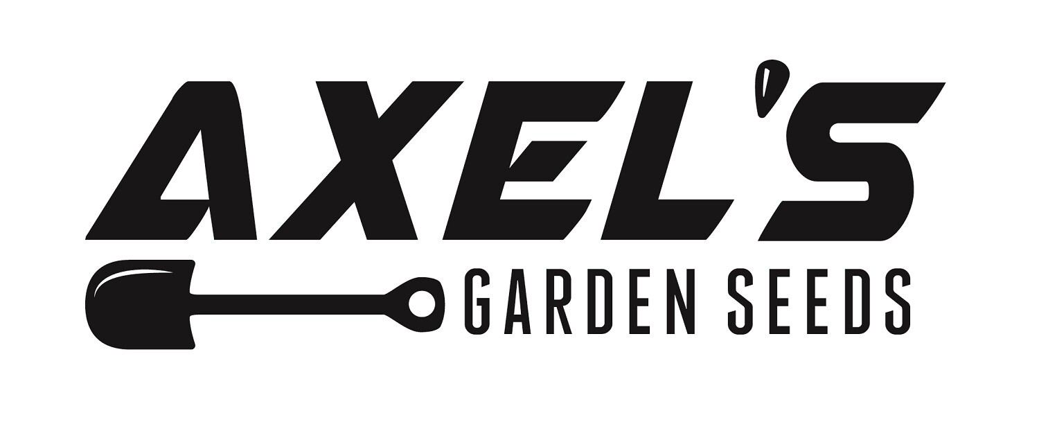 25,000+ Lavender Seeds for Planting - Common English Herb Lavender Non GMO