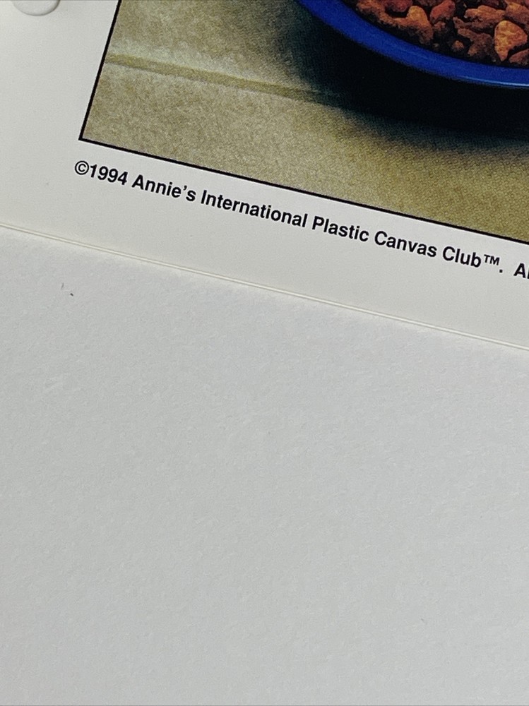 Annie's Attic Cat Carrier Plastic Canvas Pattern Page