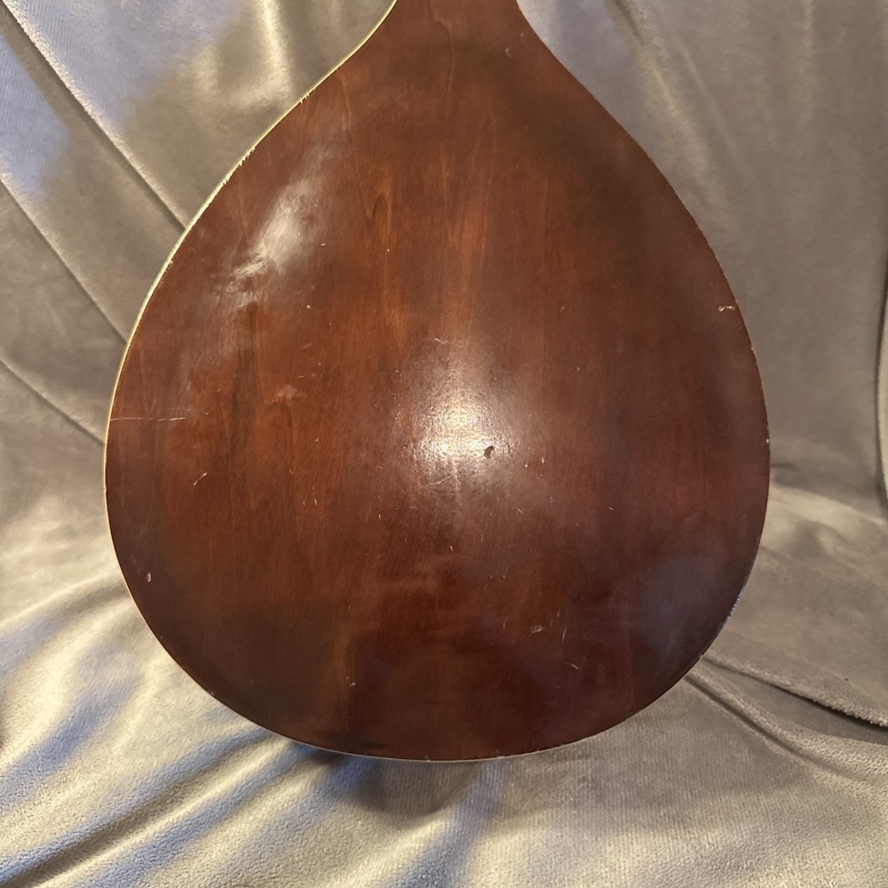 60’s70’s Norma Electric Mandolin