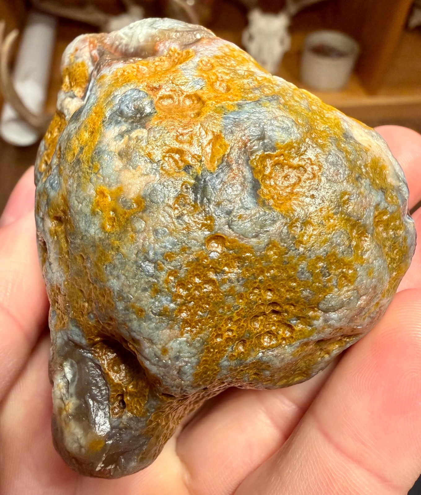 10.25oz LAKE SUPERIOR AGATE BIG BLUE JELLY SUNBLEACHED AND LIMONITE STAINING