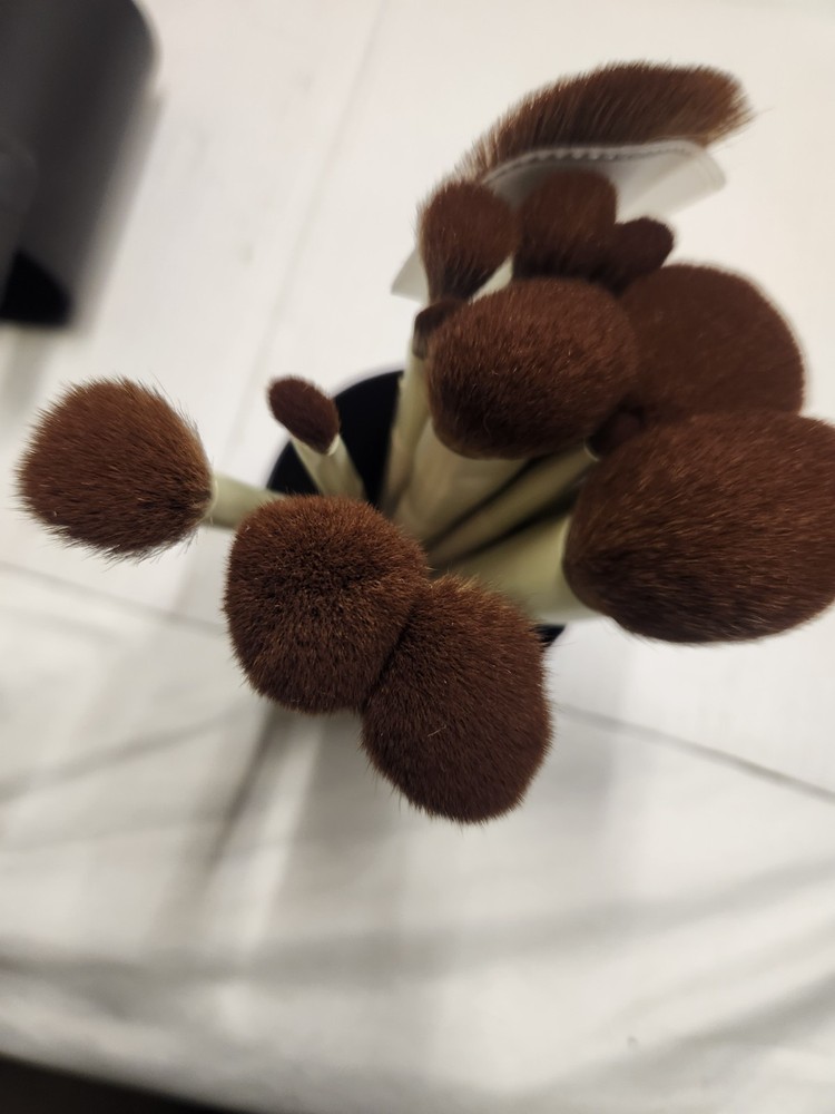 Loryp Makeup Brush Set