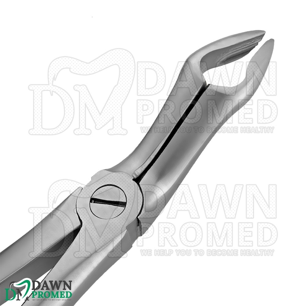 Dental Extracting Forceps #67A Gold Hollow Python Grip Handle German Grade